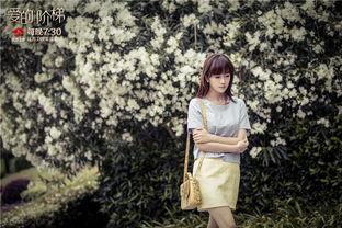 爱的阶梯全集电视剧在线观看,重温情感巅峰，共鉴人生起伏